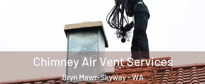  Chimney Air Vent Services Bryn Mawr-Skyway - WA