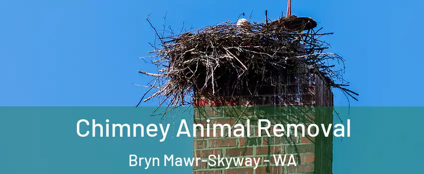 Chimney Animal Removal Bryn Mawr-Skyway - WA
