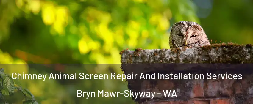  Chimney Animal Screen Repair And Installation Services Bryn Mawr-Skyway - WA