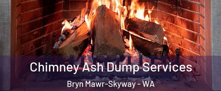  Chimney Ash Dump Services Bryn Mawr-Skyway - WA