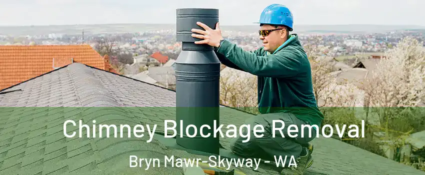  Chimney Blockage Removal Bryn Mawr-Skyway - WA