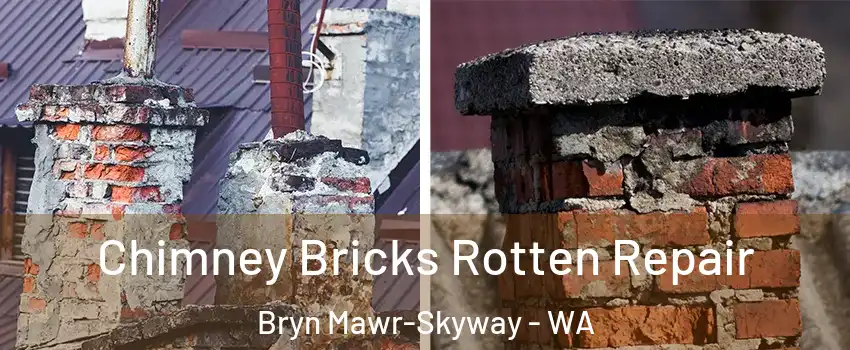  Chimney Bricks Rotten Repair Bryn Mawr-Skyway - WA