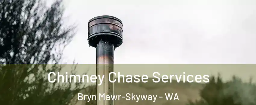  Chimney Chase Services Bryn Mawr-Skyway - WA