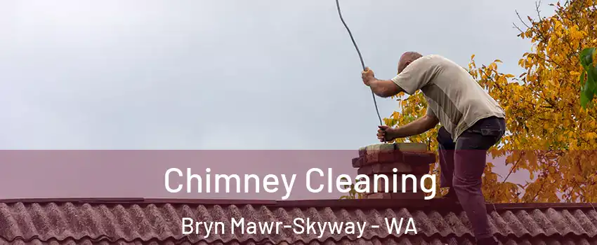  Chimney Cleaning Bryn Mawr-Skyway - WA