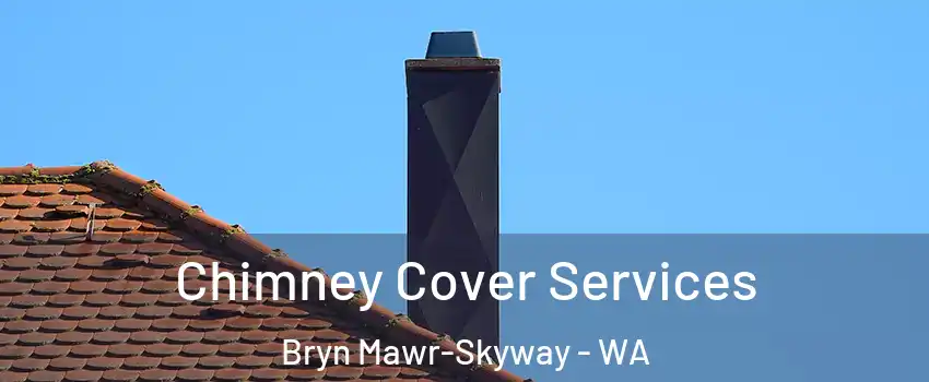  Chimney Cover Services Bryn Mawr-Skyway - WA