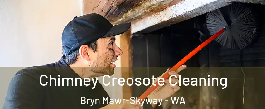  Chimney Creosote Cleaning Bryn Mawr-Skyway - WA
