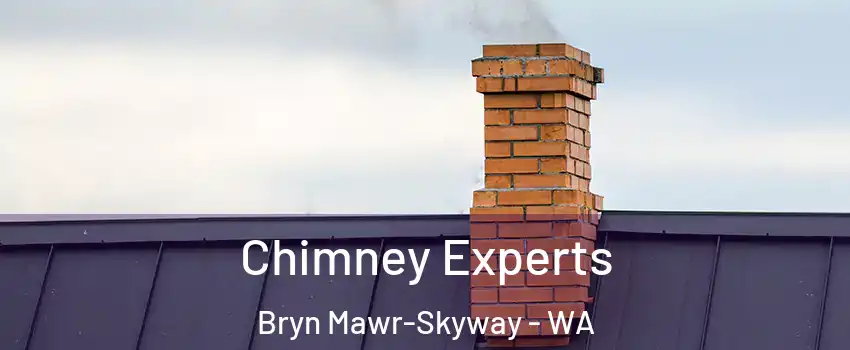  Chimney Experts Bryn Mawr-Skyway - WA