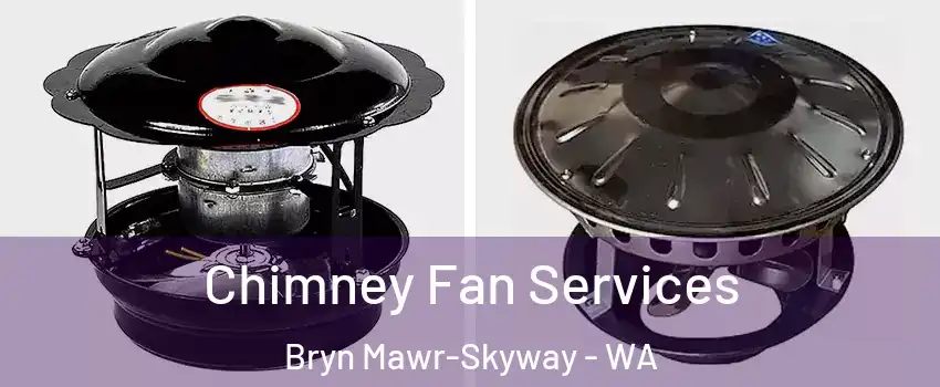  Chimney Fan Services Bryn Mawr-Skyway - WA