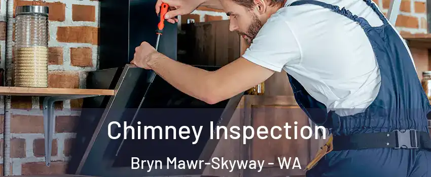  Chimney Inspection Bryn Mawr-Skyway - WA