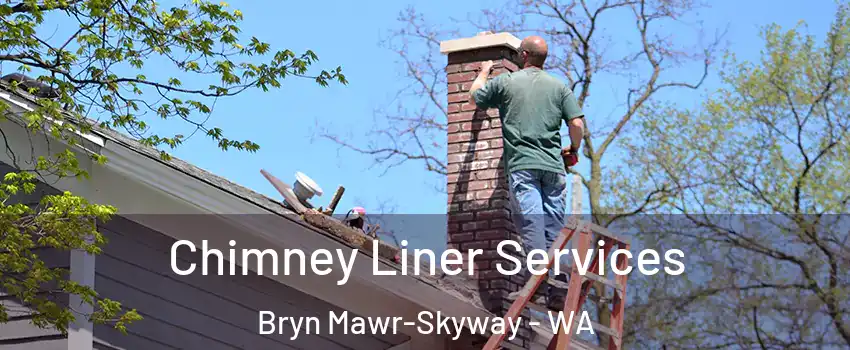  Chimney Liner Services Bryn Mawr-Skyway - WA
