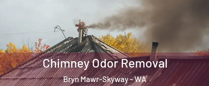  Chimney Odor Removal Bryn Mawr-Skyway - WA