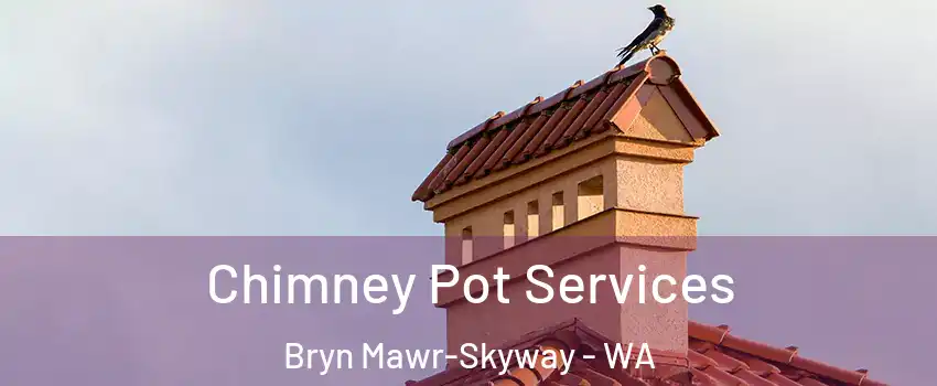  Chimney Pot Services Bryn Mawr-Skyway - WA