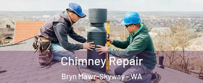  Chimney Repair Bryn Mawr-Skyway - WA