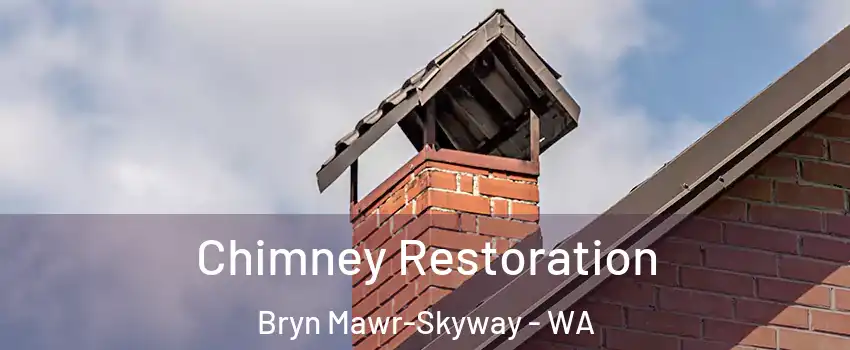 Chimney Restoration Bryn Mawr-Skyway - WA