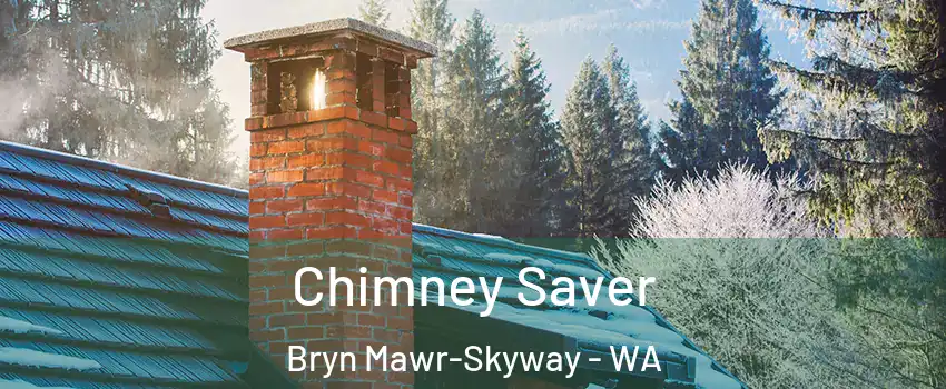  Chimney Saver Bryn Mawr-Skyway - WA
