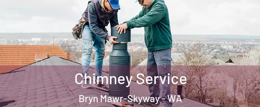  Chimney Service Bryn Mawr-Skyway - WA