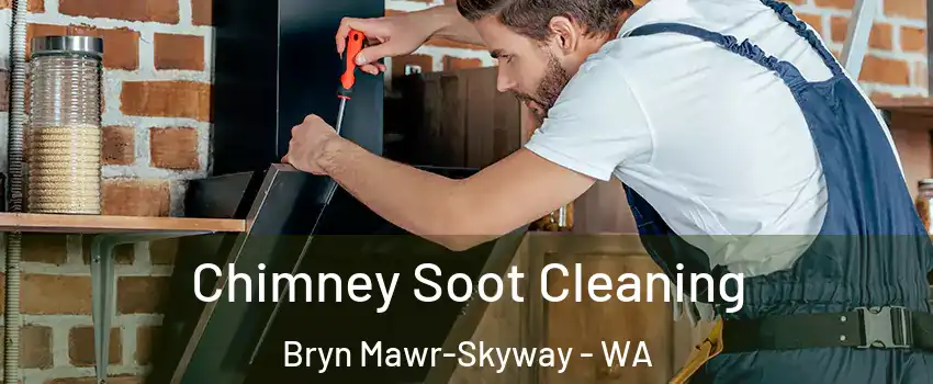  Chimney Soot Cleaning Bryn Mawr-Skyway - WA