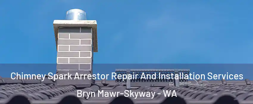  Chimney Spark Arrestor Repair And Installation Services Bryn Mawr-Skyway - WA