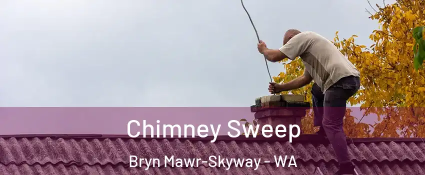  Chimney Sweep Bryn Mawr-Skyway - WA