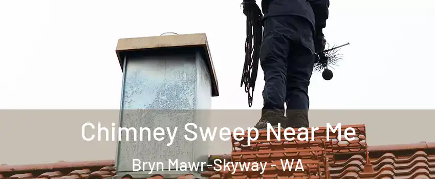  Chimney Sweep Near Me Bryn Mawr-Skyway - WA