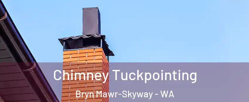  Chimney Tuckpointing Bryn Mawr-Skyway - WA