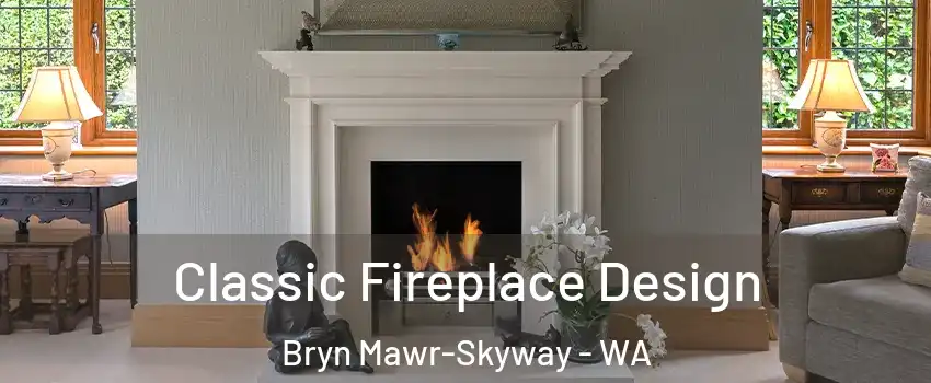  Classic Fireplace Design Bryn Mawr-Skyway - WA