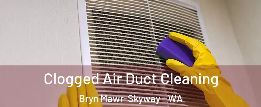  Clogged Air Duct Cleaning Bryn Mawr-Skyway - WA