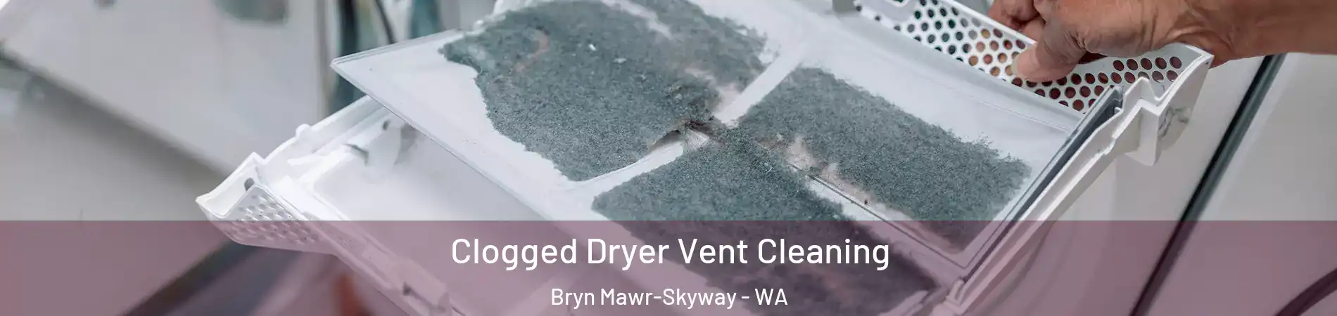  Clogged Dryer Vent Cleaning Bryn Mawr-Skyway - WA