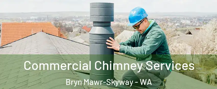  Commercial Chimney Services Bryn Mawr-Skyway - WA