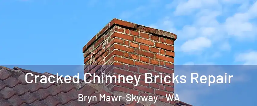  Cracked Chimney Bricks Repair Bryn Mawr-Skyway - WA