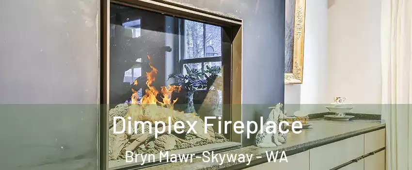  Dimplex Fireplace Bryn Mawr-Skyway - WA