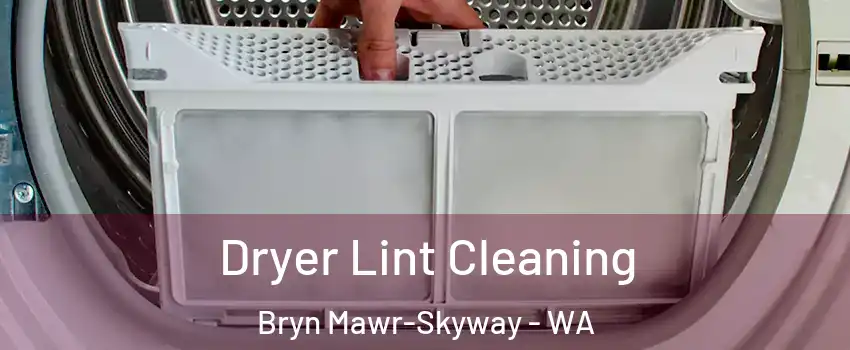  Dryer Lint Cleaning Bryn Mawr-Skyway - WA