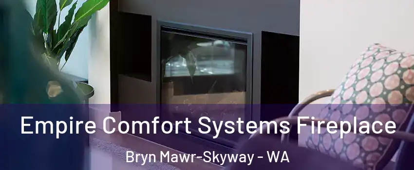  Empire Comfort Systems Fireplace Bryn Mawr-Skyway - WA