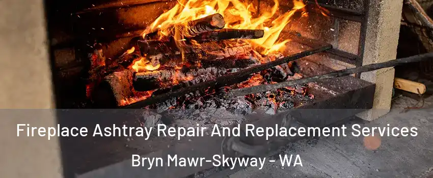 Fireplace Ashtray Repair And Replacement Services Bryn Mawr-Skyway - WA
