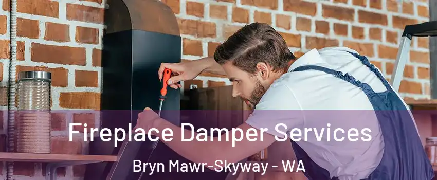  Fireplace Damper Services Bryn Mawr-Skyway - WA