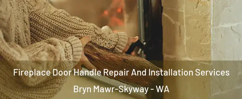  Fireplace Door Handle Repair And Installation Services Bryn Mawr-Skyway - WA