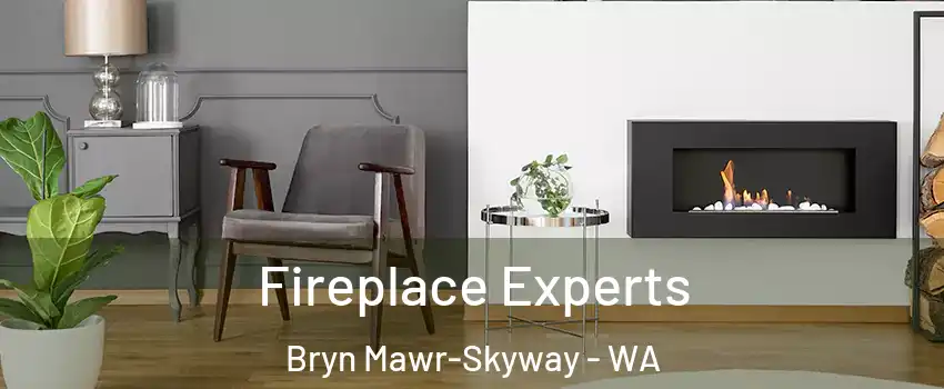  Fireplace Experts Bryn Mawr-Skyway - WA