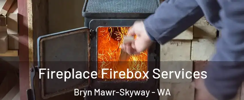  Fireplace Firebox Services Bryn Mawr-Skyway - WA