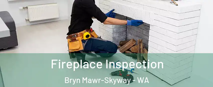  Fireplace Inspection Bryn Mawr-Skyway - WA