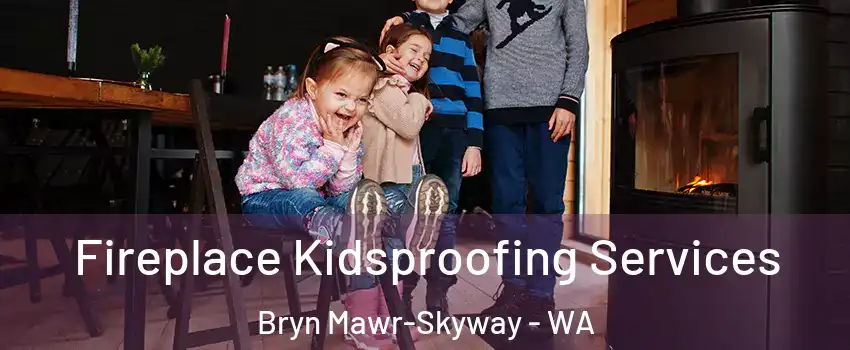  Fireplace Kidsproofing Services Bryn Mawr-Skyway - WA