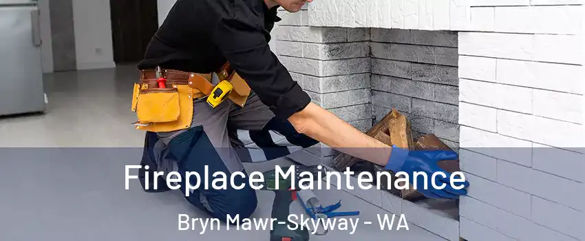  Fireplace Maintenance Bryn Mawr-Skyway - WA