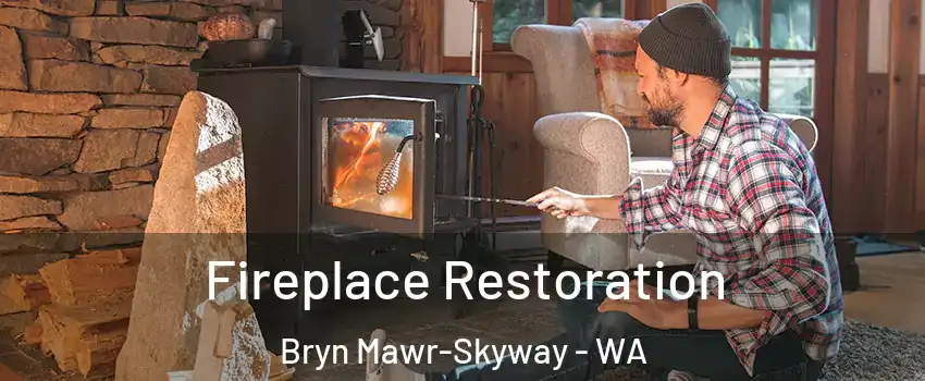  Fireplace Restoration Bryn Mawr-Skyway - WA