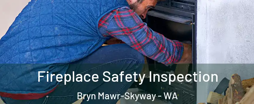  Fireplace Safety Inspection Bryn Mawr-Skyway - WA