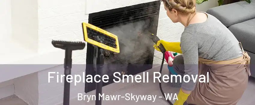  Fireplace Smell Removal Bryn Mawr-Skyway - WA