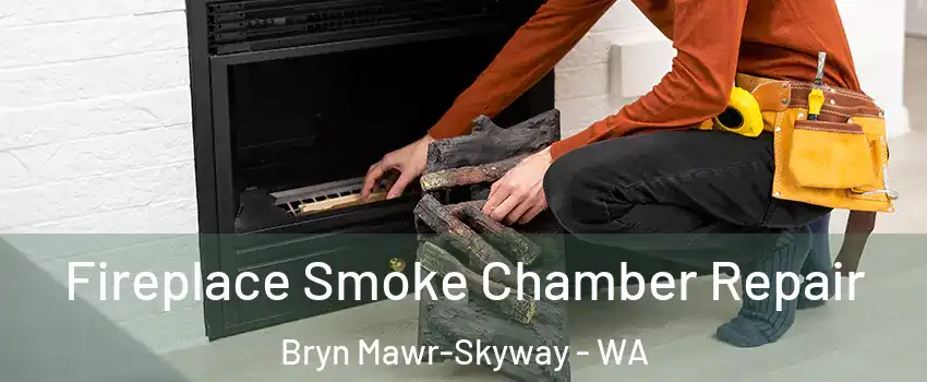  Fireplace Smoke Chamber Repair Bryn Mawr-Skyway - WA