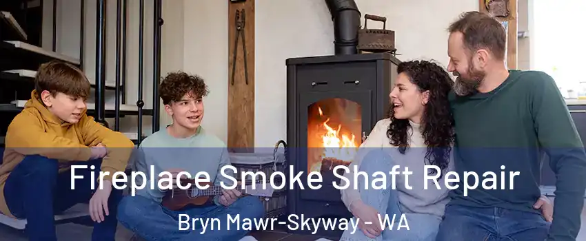  Fireplace Smoke Shaft Repair Bryn Mawr-Skyway - WA