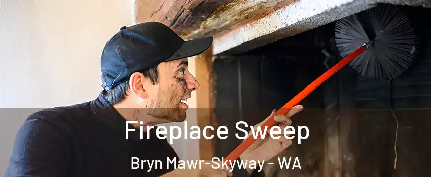  Fireplace Sweep Bryn Mawr-Skyway - WA