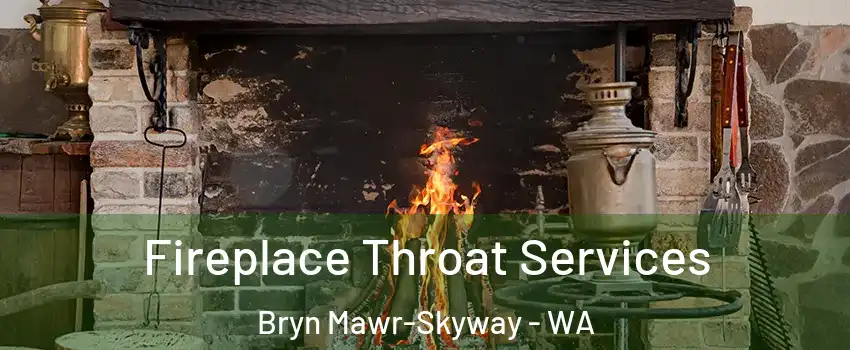  Fireplace Throat Services Bryn Mawr-Skyway - WA