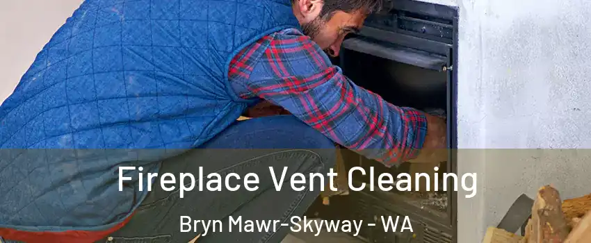  Fireplace Vent Cleaning Bryn Mawr-Skyway - WA