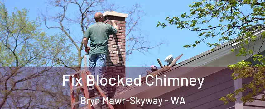  Fix Blocked Chimney Bryn Mawr-Skyway - WA